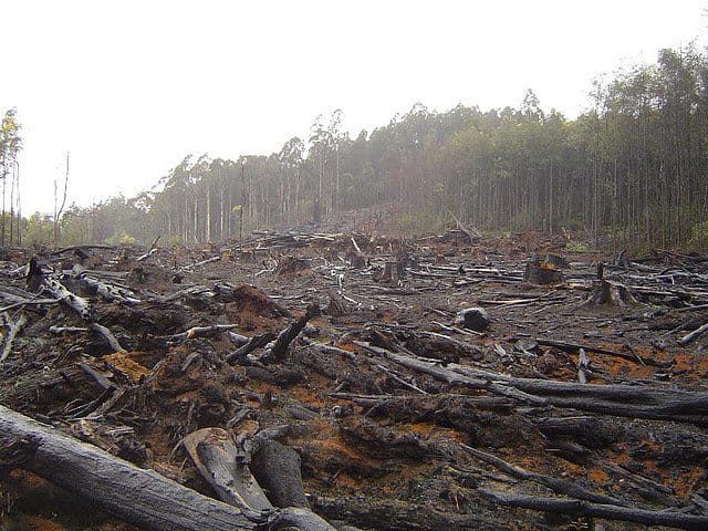 The True Cost of Mining: Exploring the Environmental Challenges and Consequences